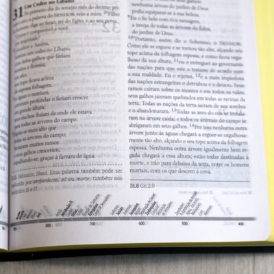 image_d86aac79-d1fb-4a6c-aa45-49daef5eaf09