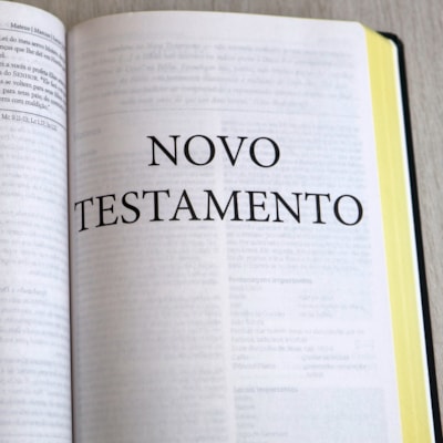 image_2fc382be-fe36-4bc4-ba69-827b190610dd