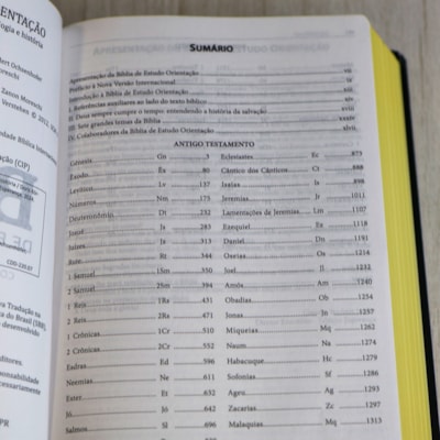 image_a4c55ba5-94f3-4db0-aa80-2b64d3815e5b