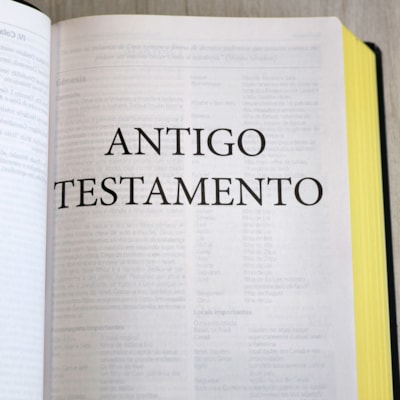 image_ad34bfcb-37f9-43c0-88e6-a15ba086ec2e