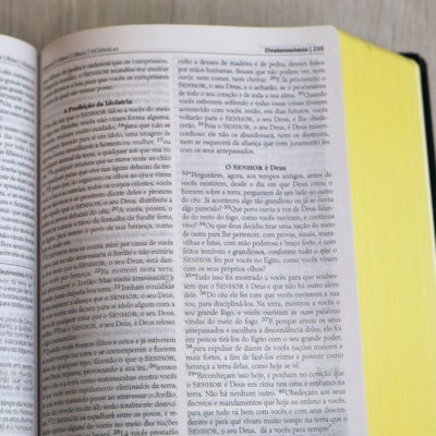 image_1e8b94e2-7335-448f-b20c-33b0e8f8453a