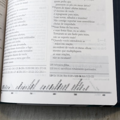 image_2e458a17-7047-4c4c-9918-0456f8313e24