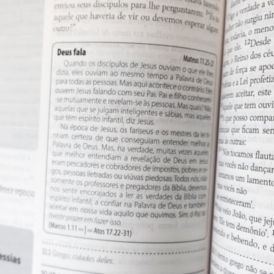 image_2b37a913-4ea0-46fe-9982-7f6b0170e6df