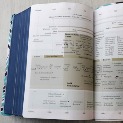 image_a845d317-0533-4ddb-b9af-42ed54b788d4