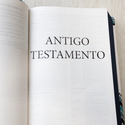 image_785e37e4-4351-4c32-ab5f-05d45709d076