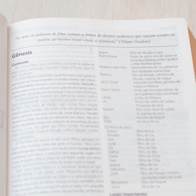 image_2c2ba118-ffdf-4a02-8ad4-17941422f118