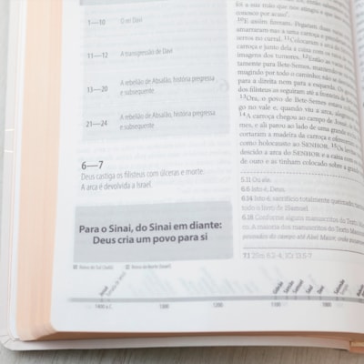 image_6e24afe7-7c30-43d6-b885-c99960fcfeb5