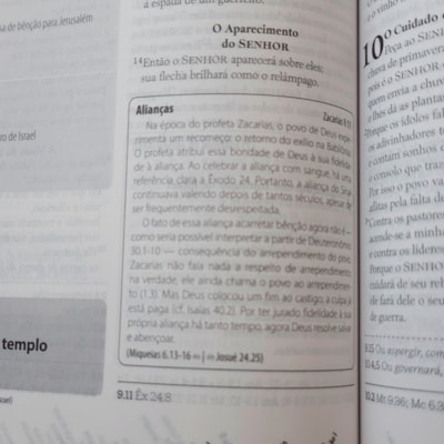 image_b111b917-a05c-4149-af55-f98266325c1c