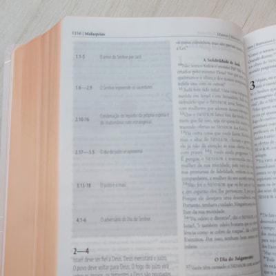 image_f93a214f-14ab-425e-8d4d-f6b7b8db7fbf