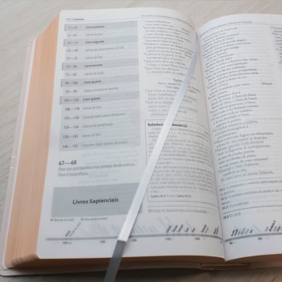 image_d1f07da0-7f24-421f-956e-c17669199d46