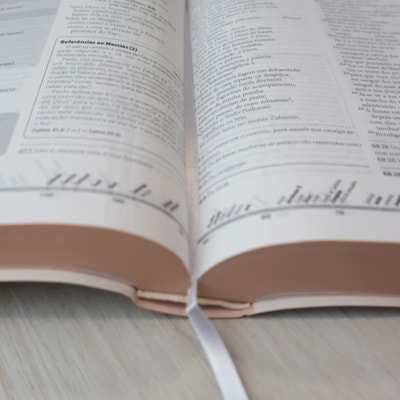 image_3b4abd48-9603-4565-86fa-1c3bcd9ec371