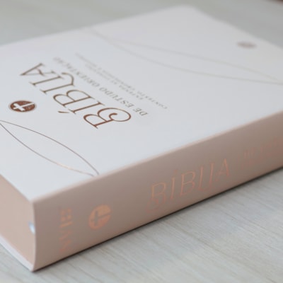 image_662bfd0e-50ee-49ff-9edb-ccac42e3e822