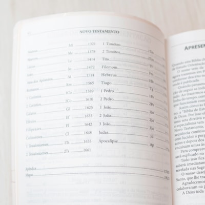 image_afda678d-8856-4264-8337-69f7f001f818