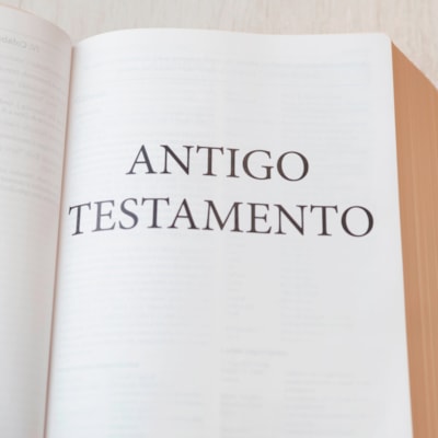 image_8ce56ff2-7824-4aad-9906-56c1e5891821