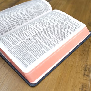 Bíblia Eu Amo a Mensagem da Cruz | ARC | Letra Normal | Com Harpa e Corinhos | Capa Dura