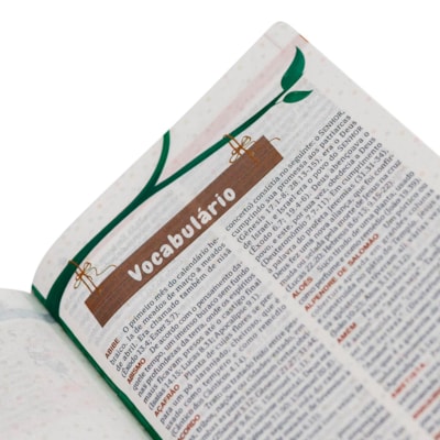 image_48ecf429-504c-4378-b90e-8682c316f325