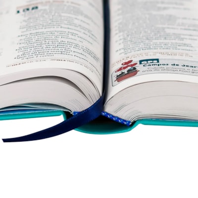 image_aefed464-857e-47a1-a0e3-52e5dace35dc