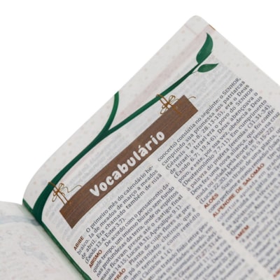 image_2f25113c-7404-49cb-99d4-b1a749bb5d22