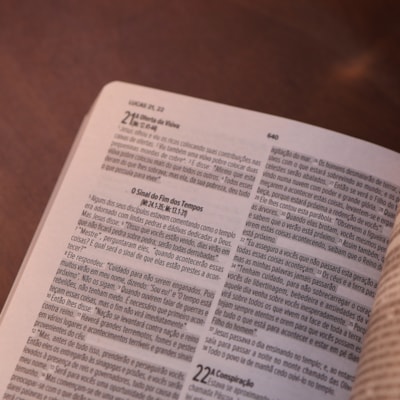 image_52feed31-e23f-4ea9-9850-af92586aa0b8