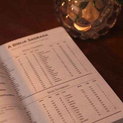 image_d684d013-8b99-484f-b2a1-bb0190820a26