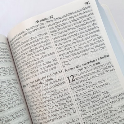 image_09b2b4d1-007a-4002-ad6e-091631cd59b2