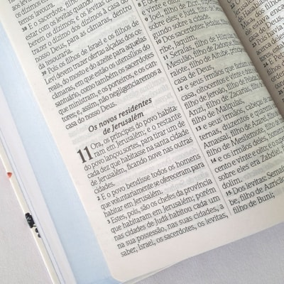 image_07e209c0-6143-4365-ad32-0f8c24153df9