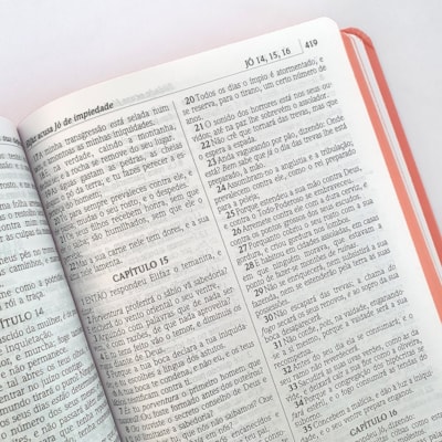 image_84c580f3-544c-4c5a-8b4f-92e6c58322dd