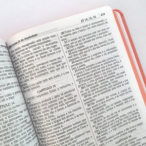Bíblia Flor de Pote | ACF | Letra Normal | Capa Dura