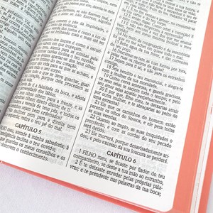 Bíblia Flor de Pote | ACF | Letra Normal | Capa Dura