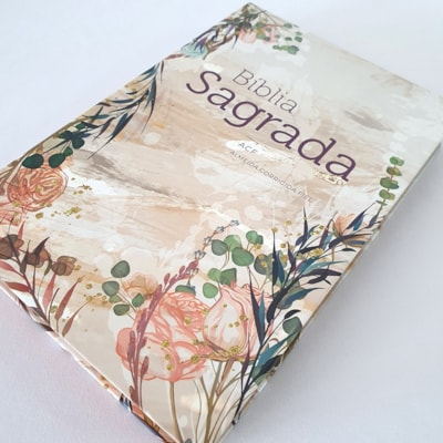 image_e337e169-c758-4f05-8fb2-57c536cb2ca3