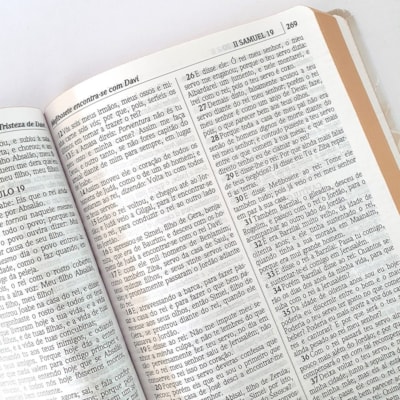 image_de023fc5-785d-480e-8232-c208c8e1f7d8