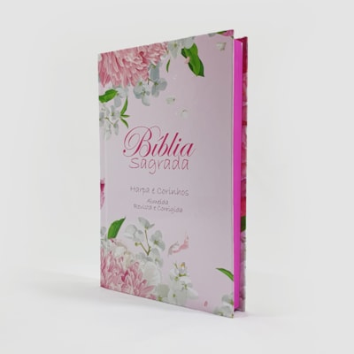 image_1d7d364b-7c17-4773-9f2f-a42ae3f87449