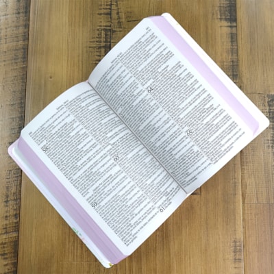 image_51aa7192-d948-404e-a84c-078cc402ae4f