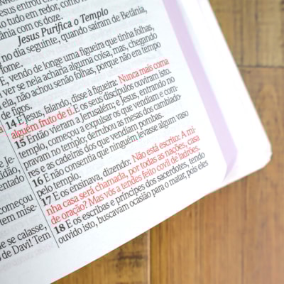 image_edc777b8-fa3b-413c-88e9-9ada08ebb4aa