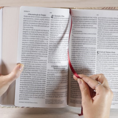 image_6d695486-a6fc-4d3a-b113-e31968e62932