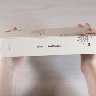 image_df54cb50-2154-4367-b437-1f4d282bc241