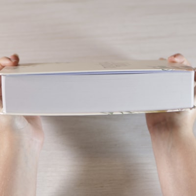 image_35023bf9-1a6d-425b-9cbe-17f1c7e408a3