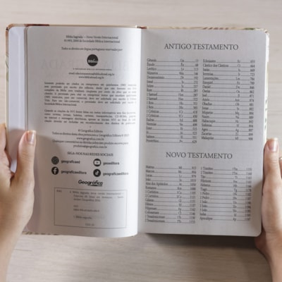 image_03c03d29-fe9f-44b0-8778-0d05de1b9ada