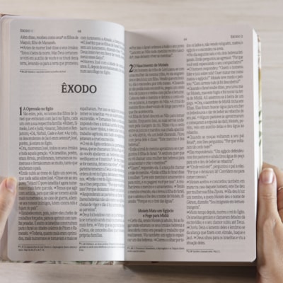 image_02af1799-9898-42f7-9516-7fc56a658dcd