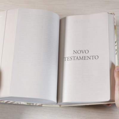 image_673e5dae-d80f-4268-8126-14fd5055fda7