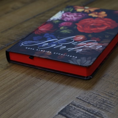 image_221edd57-7cb8-4cc3-a7b9-0bcba8af2981