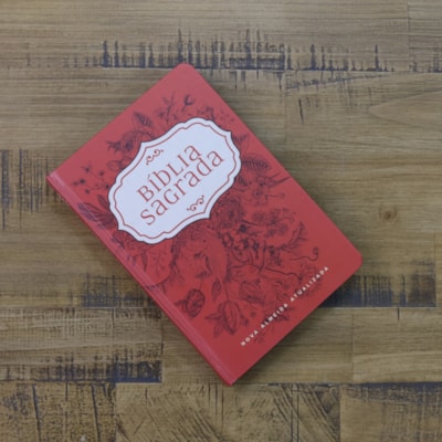 image_fdf41403-5df5-4731-a99d-a249d05c8791