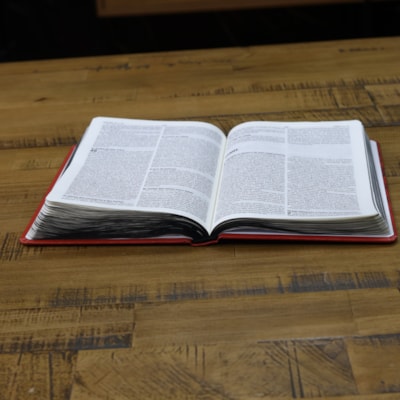 image_7773f134-4fae-42aa-bb39-b02635ead5da