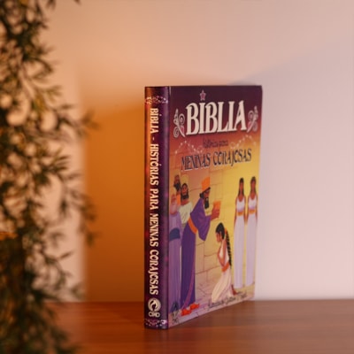 Segunda imagem do produto Bíblia - Historia Para Meninas Corajosas