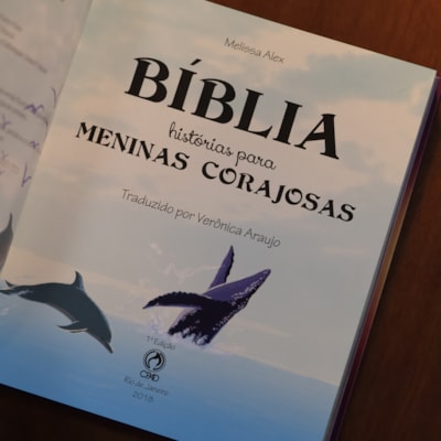 image_66e6e9a4-af38-401f-b651-23a3a434b64d