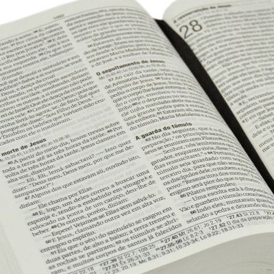 image_444e505b-e29a-4850-a813-6d01c986e0b3