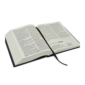 Bíblia Hope | NAA | Letra Grande | Capa Dura