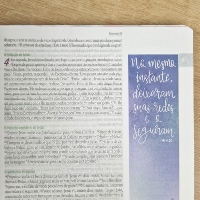 image_ad2d29a4-3a6e-4837-ac22-0e7cfa229384