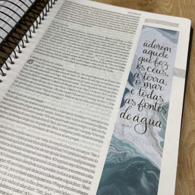 image_05545832-9ae4-4c2e-98c7-0ee7a063df25