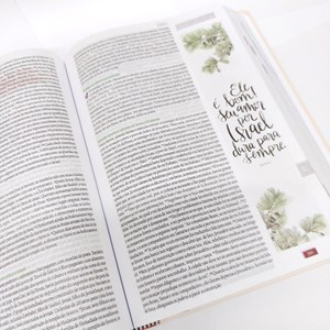 Bíblia Ilustrada Anote Meu Socorro | NVT | Letra Normal | Capa Dura